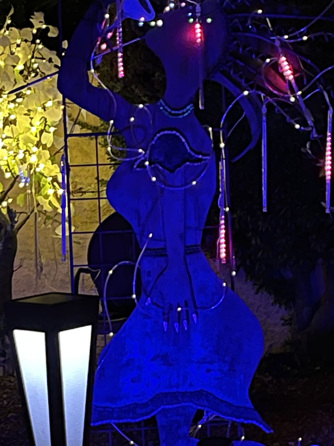 Customer photo review of TSUN 4/7 LEDs Outdoor Solar Spot Lights