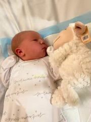Customer photo review of Super Cute NZ Sleeping Lamb Soft Toy