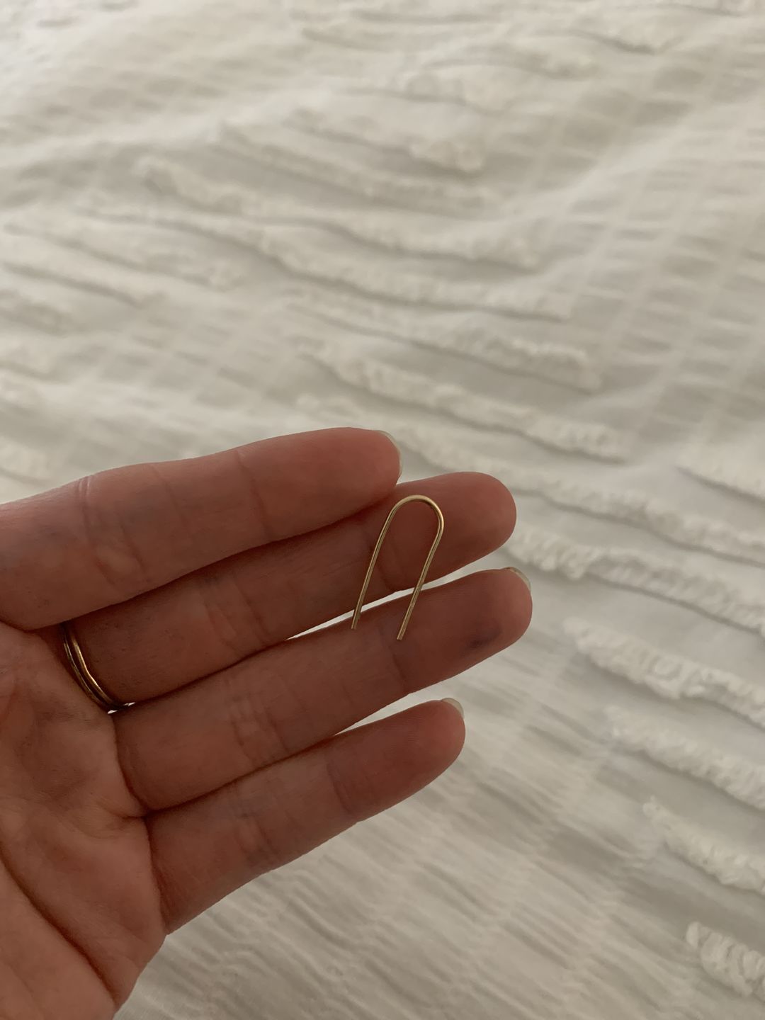Customer photo review of Hook Arc Earrings