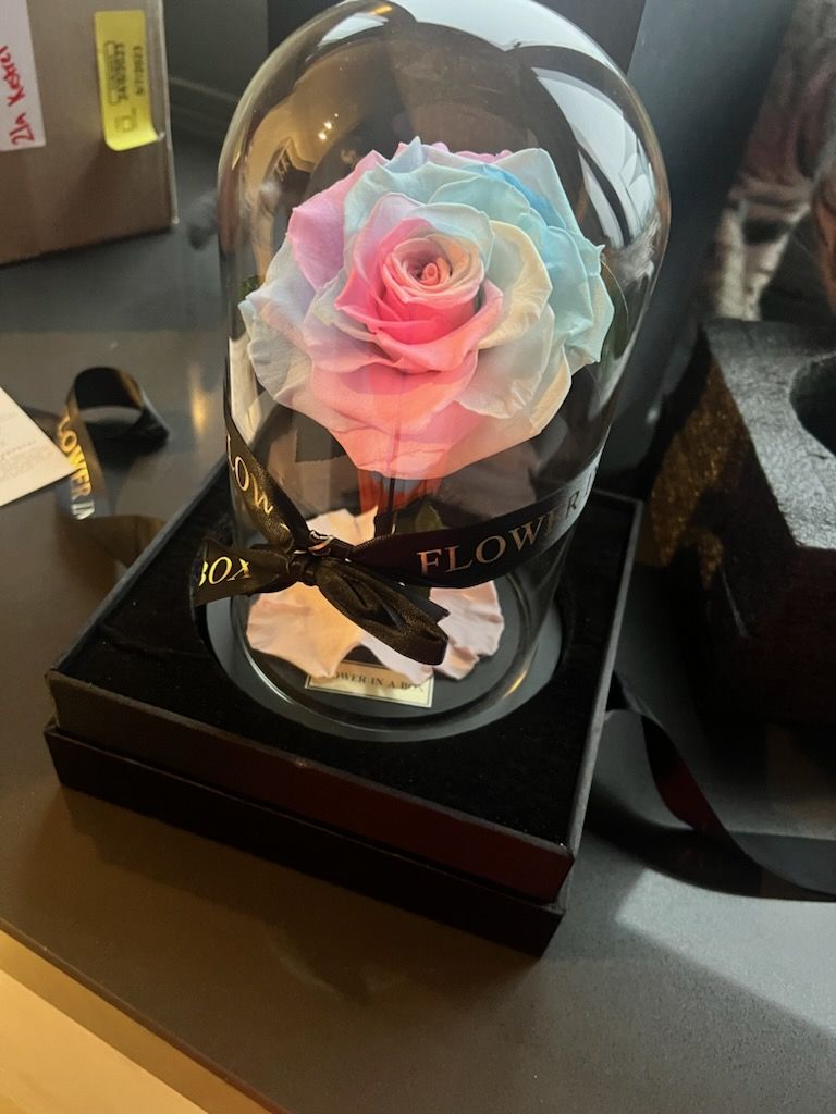Customer photo review of Enchanted Rose Mini - RAINBOW