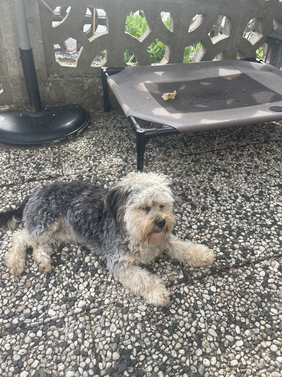 Customer photo review of Vorsicht - Individuelles Gartenschild