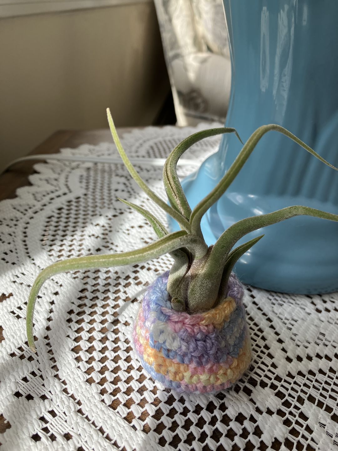 Customer photo review of Caput Medusae  (Beginner Friendly!)