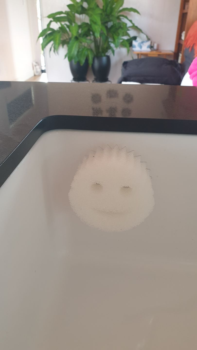 Customer photo review of Scrub Daddy Caddy
