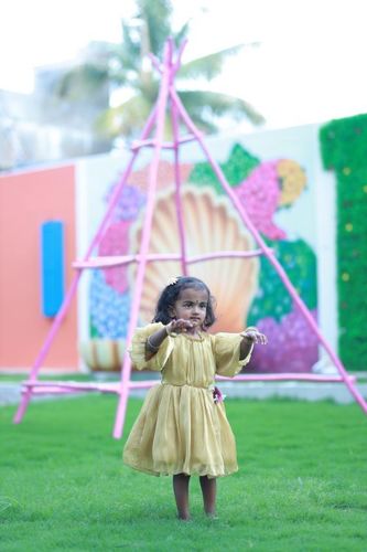The Nesavu customer review from Priya Jayaraman
