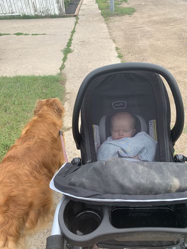 Customer photo review of Summer - Stretch