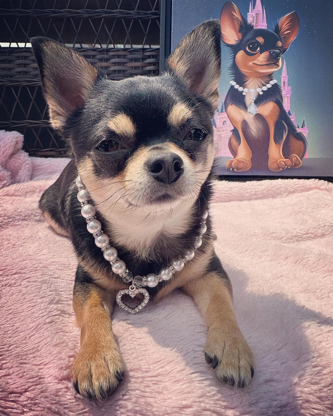 Customer photo review of Turn Your Dog Into A Cartoon Portrait