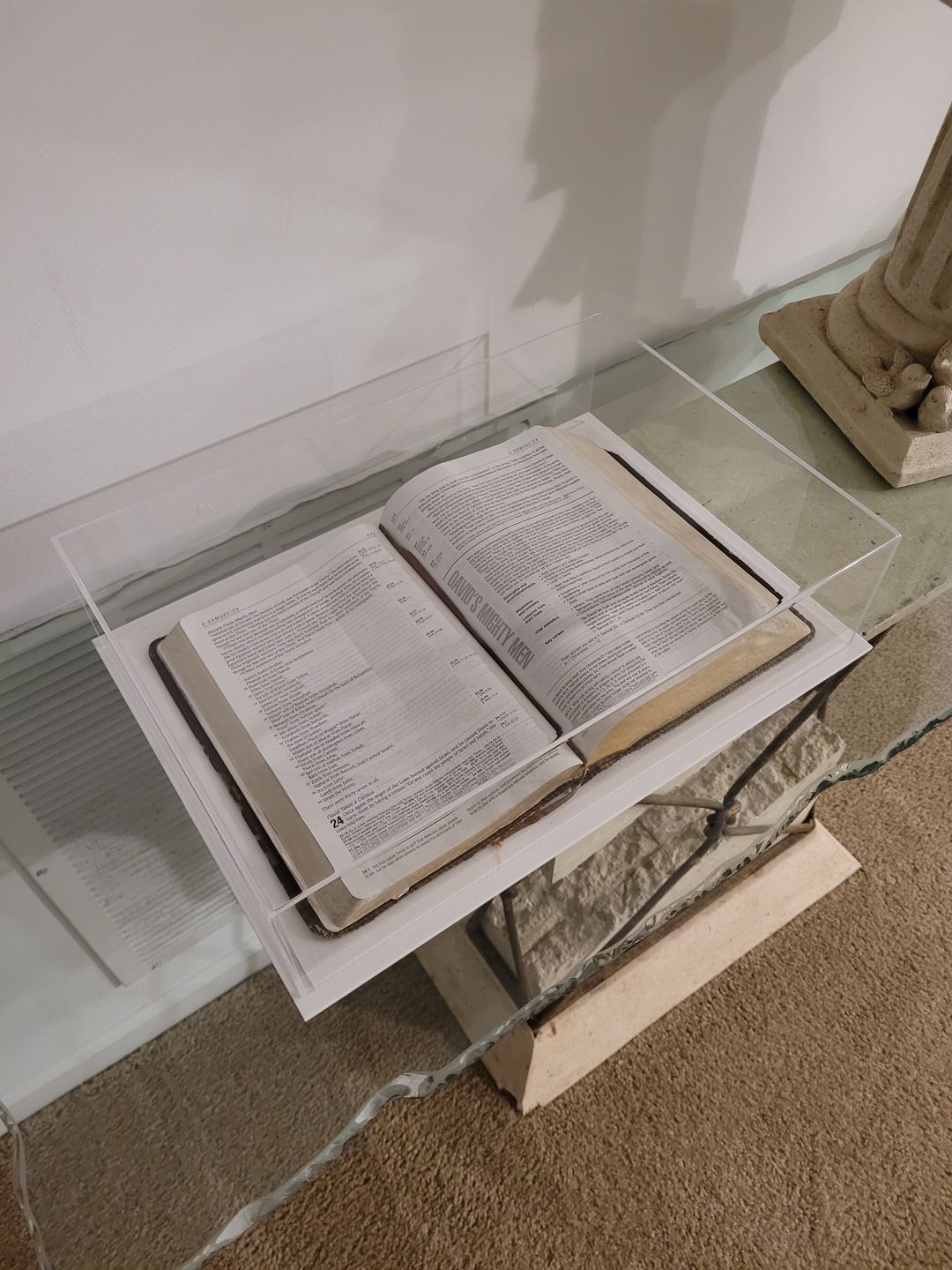 Customer photo review of Acrylic Double Sheet Book Display Cases