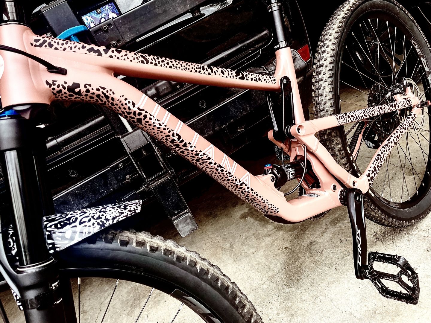 Customer photo review of Cheetah Frame Keeper