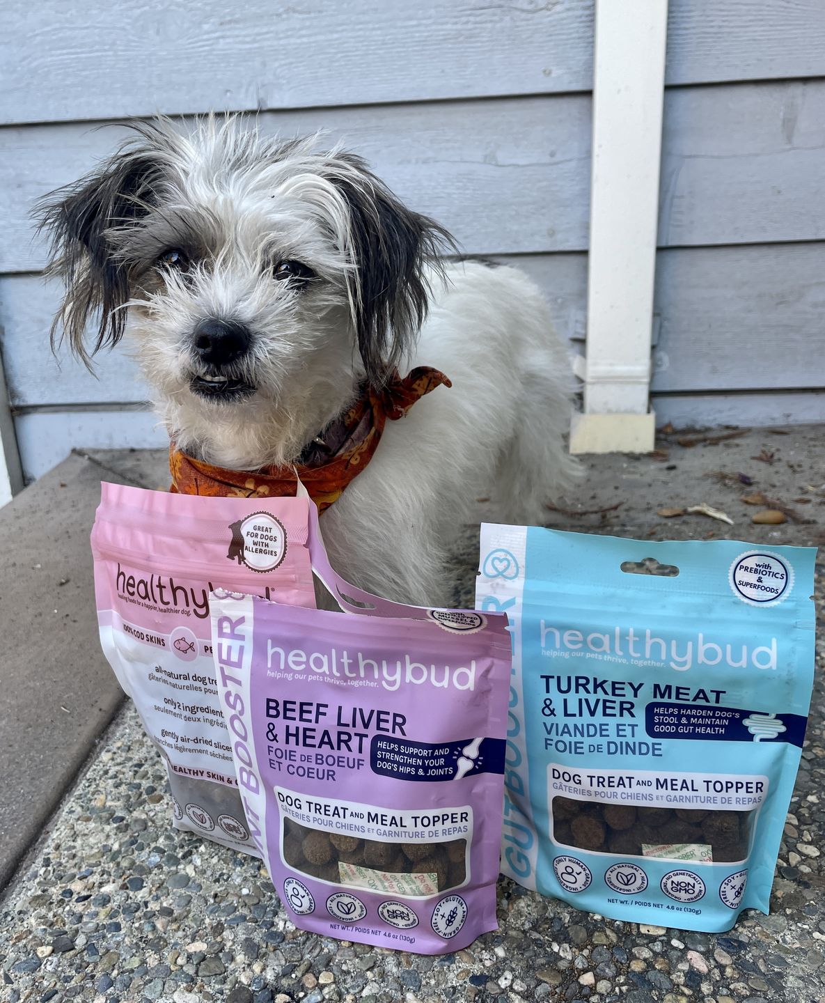 Customer photo review of Beef Joint Booster