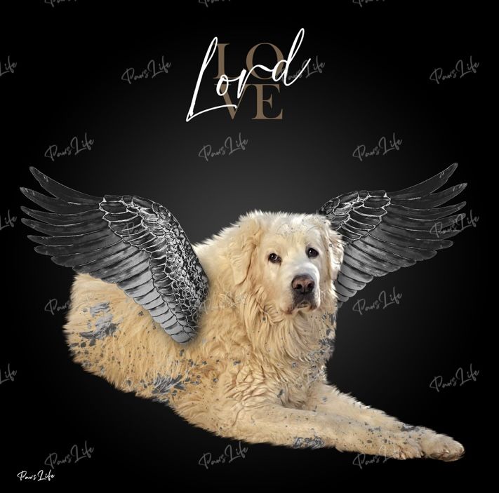 Customer photo review of Personalisiertes Portrait - Silberner Engel Stil