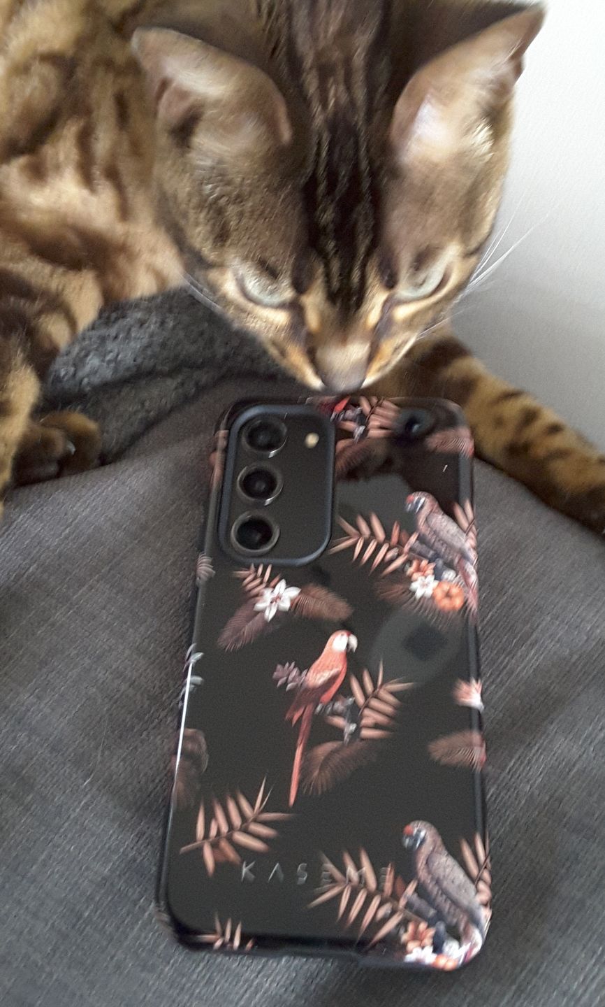 Customer photo review of Fall flowers