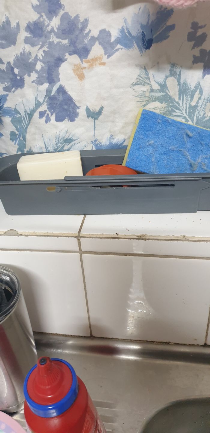 Customer photo review of Dishwashing Soap Bar (Lemon Myrtle)