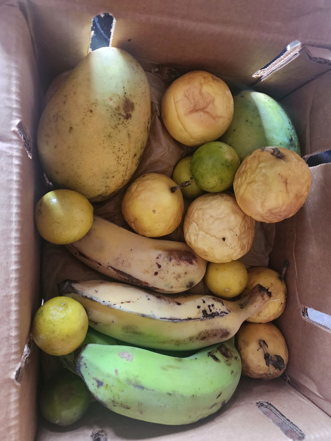 Customer photo review of Leftovers Box