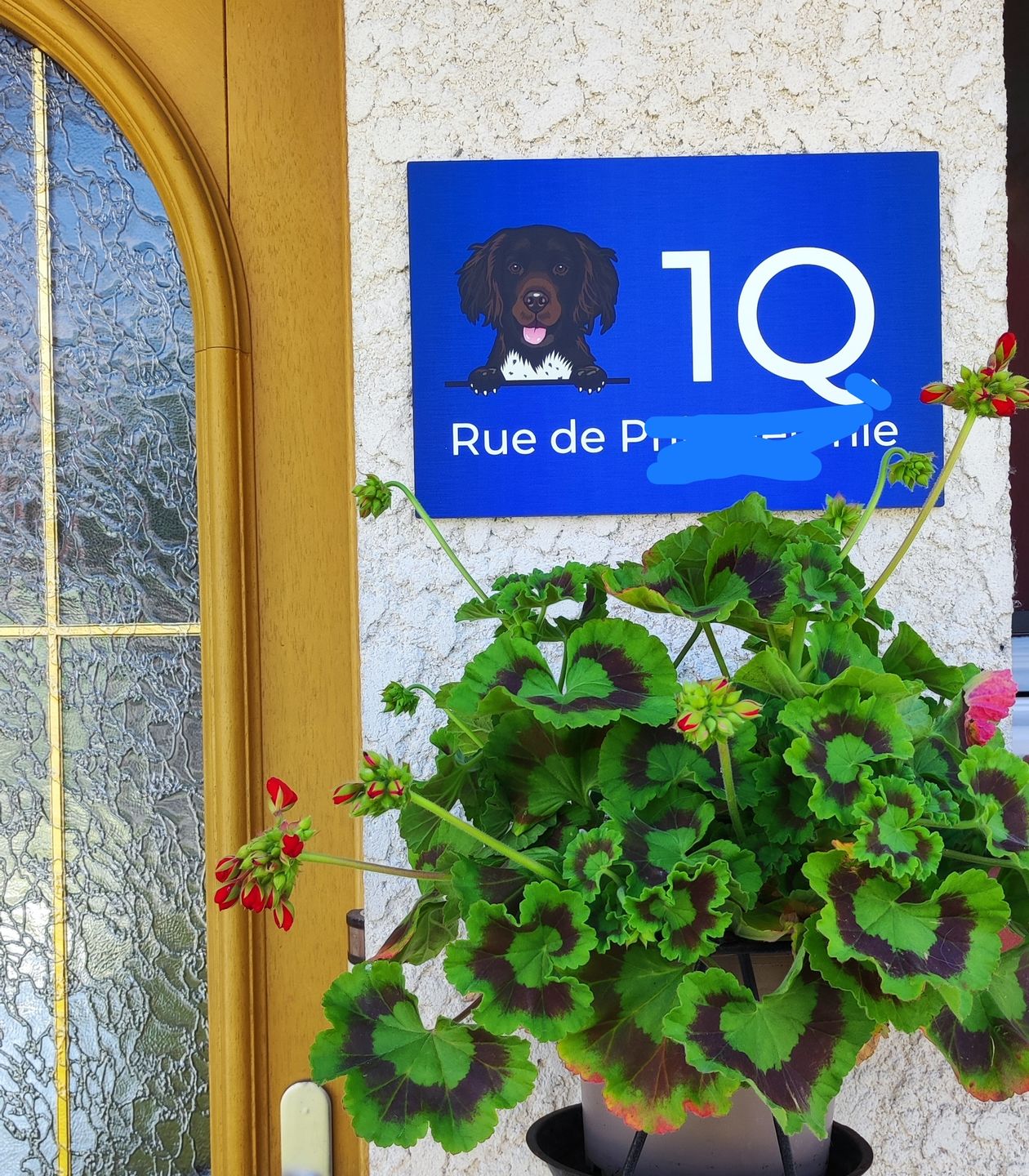 Customer photo review of Chiens curieux et numéro de maison - Plaque de porte personnalisée