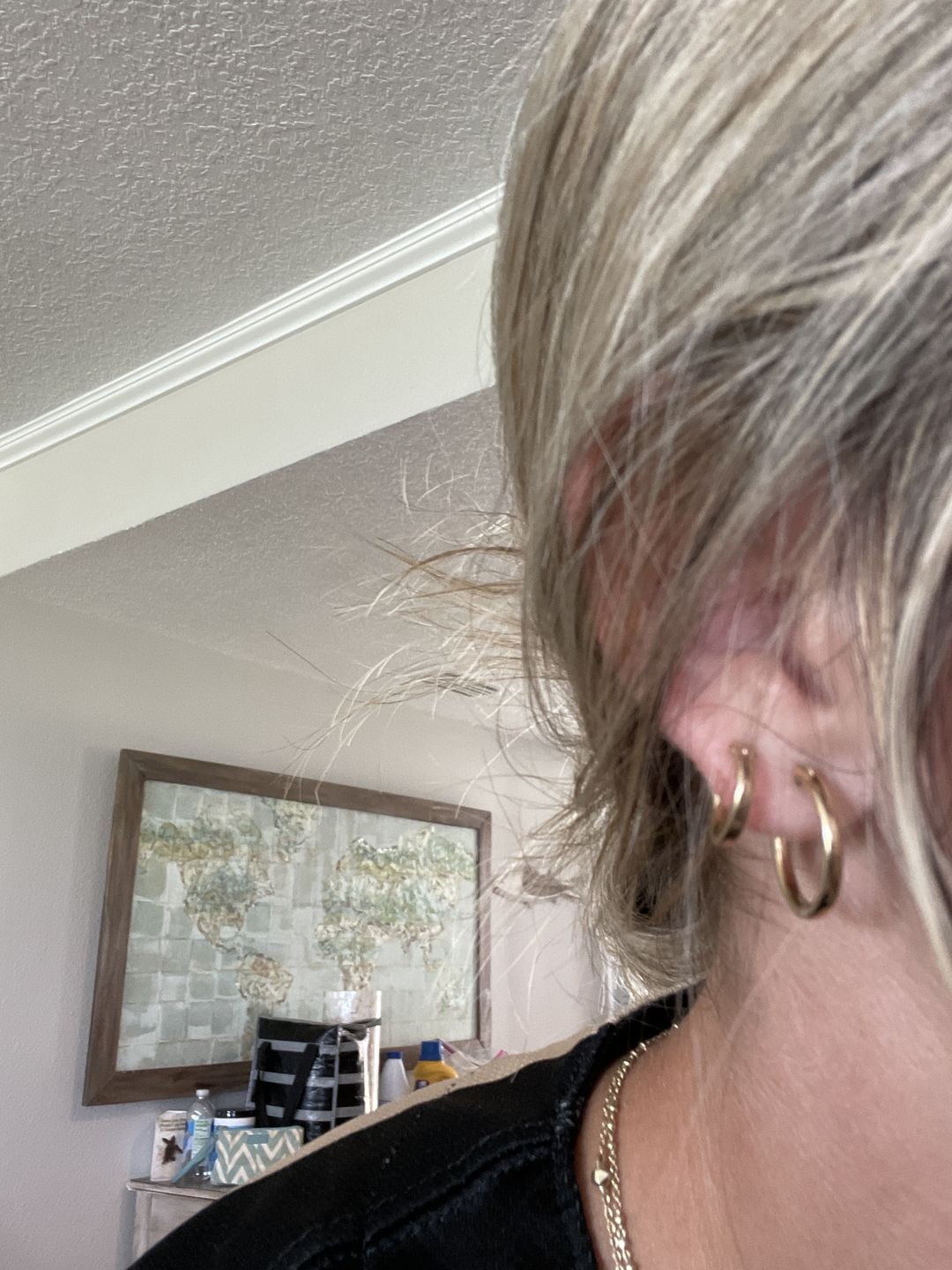 Customer photo review of Mini Gold Filled Hoops