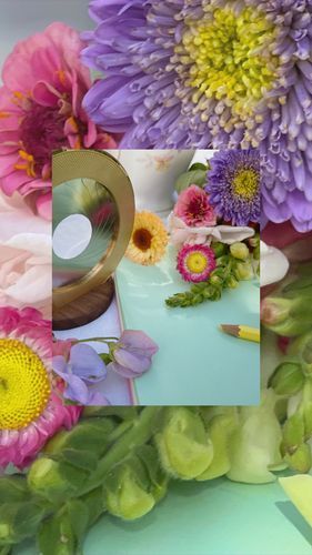 Customer photo review of IRIS