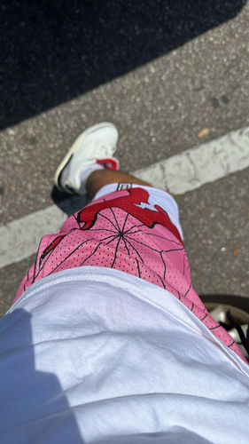 Customer photo review of Reversible Mesh Shorts - Siblings