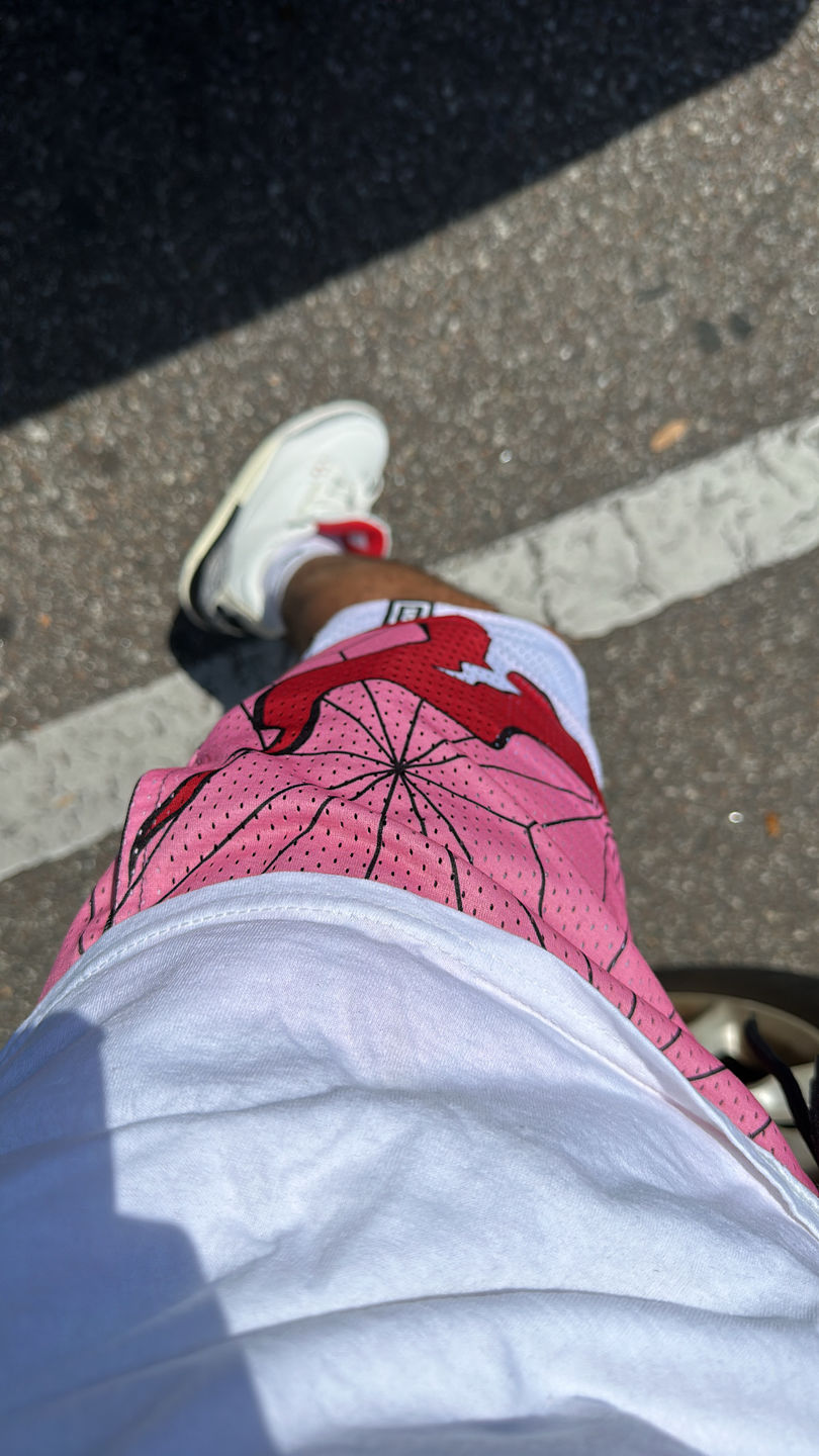 Customer photo review of Reversible Mesh Shorts - Siblings
