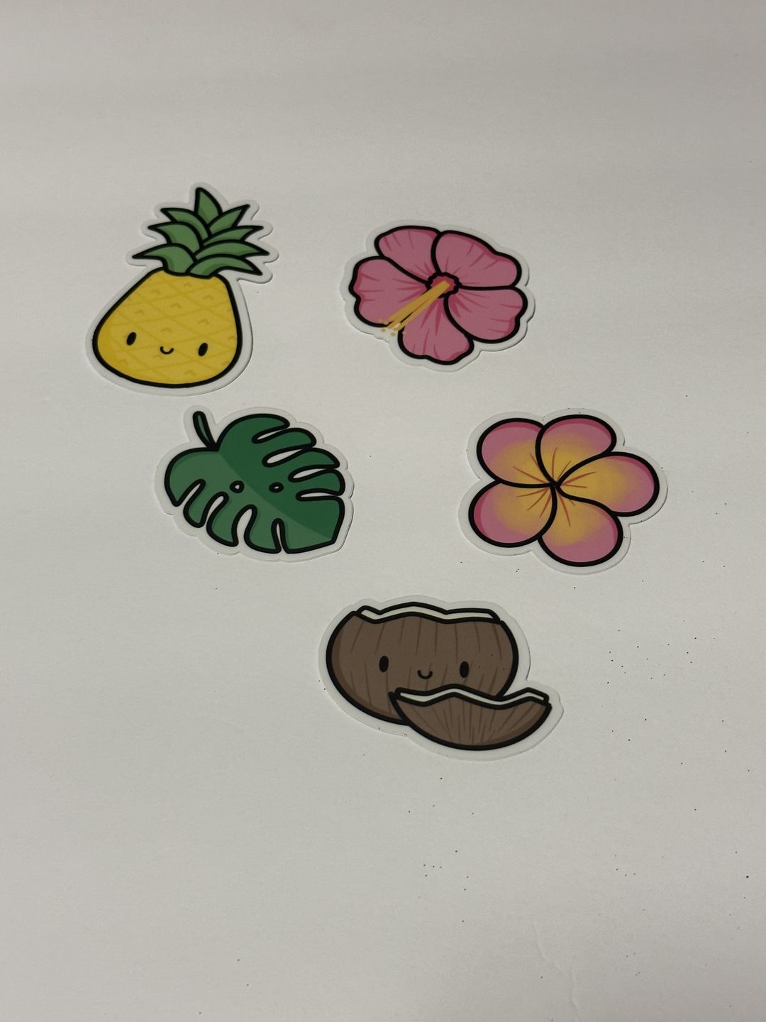 Customer photo review of Hawaii Plants Planner Stickers