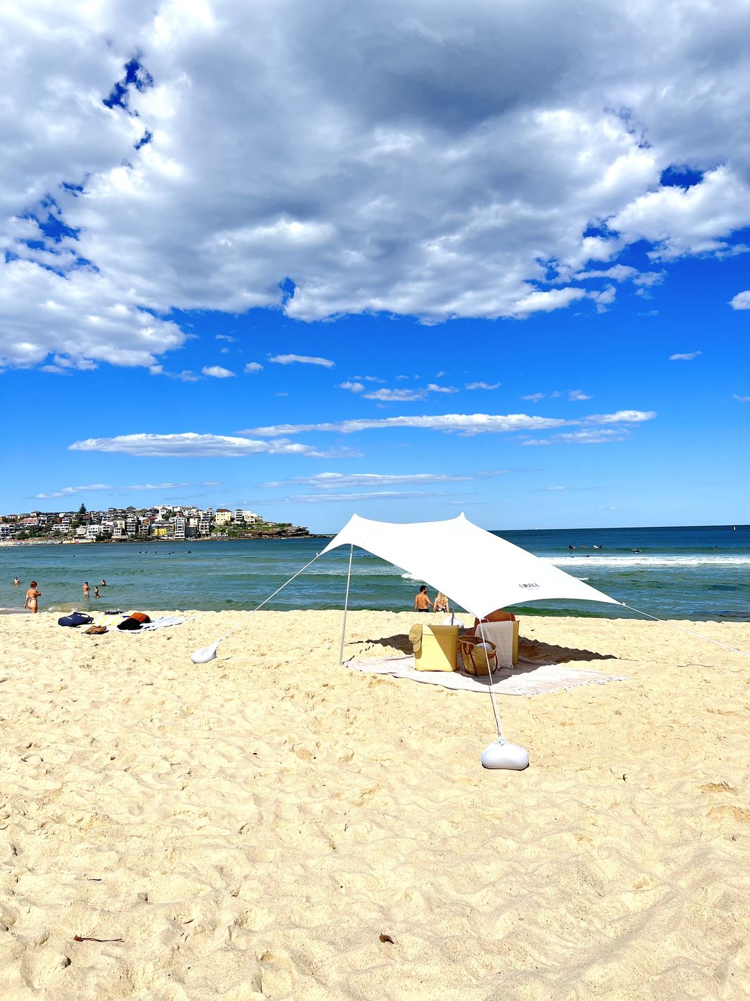 Customer photo review of Family Wave Break Beach Tent