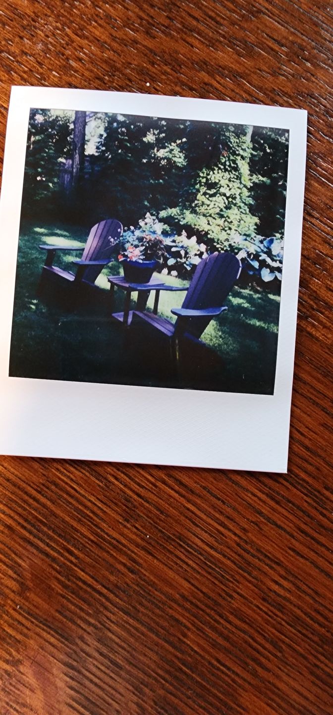 Customer photo review of Polaroid Color 600 Instant Film - Five Pack