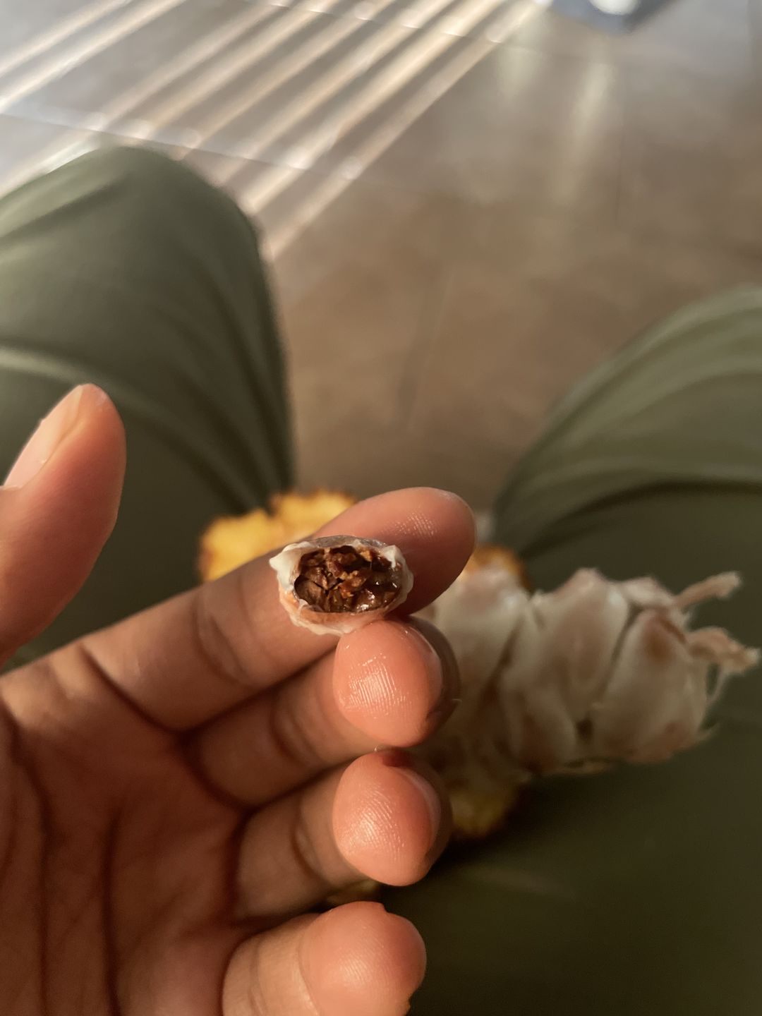 Customer photo review of Cacao (Chocolate) Box