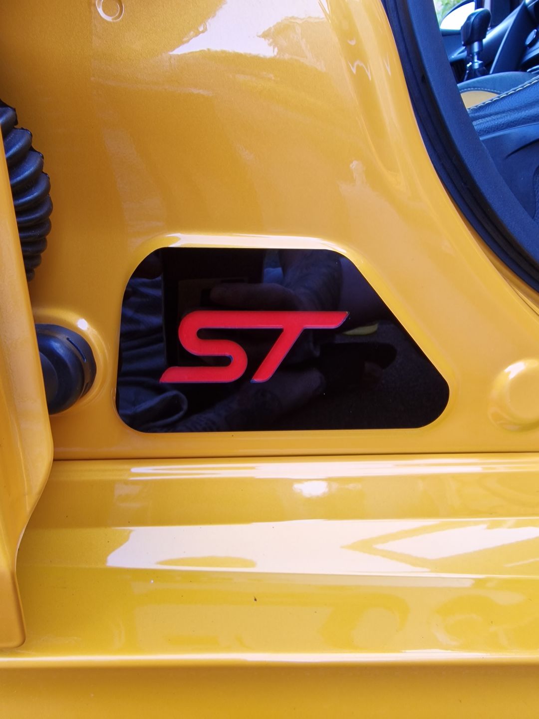 Customer photo review of Mk3/3.5 Focus RS / ST / ST-Line Door Sill Plates