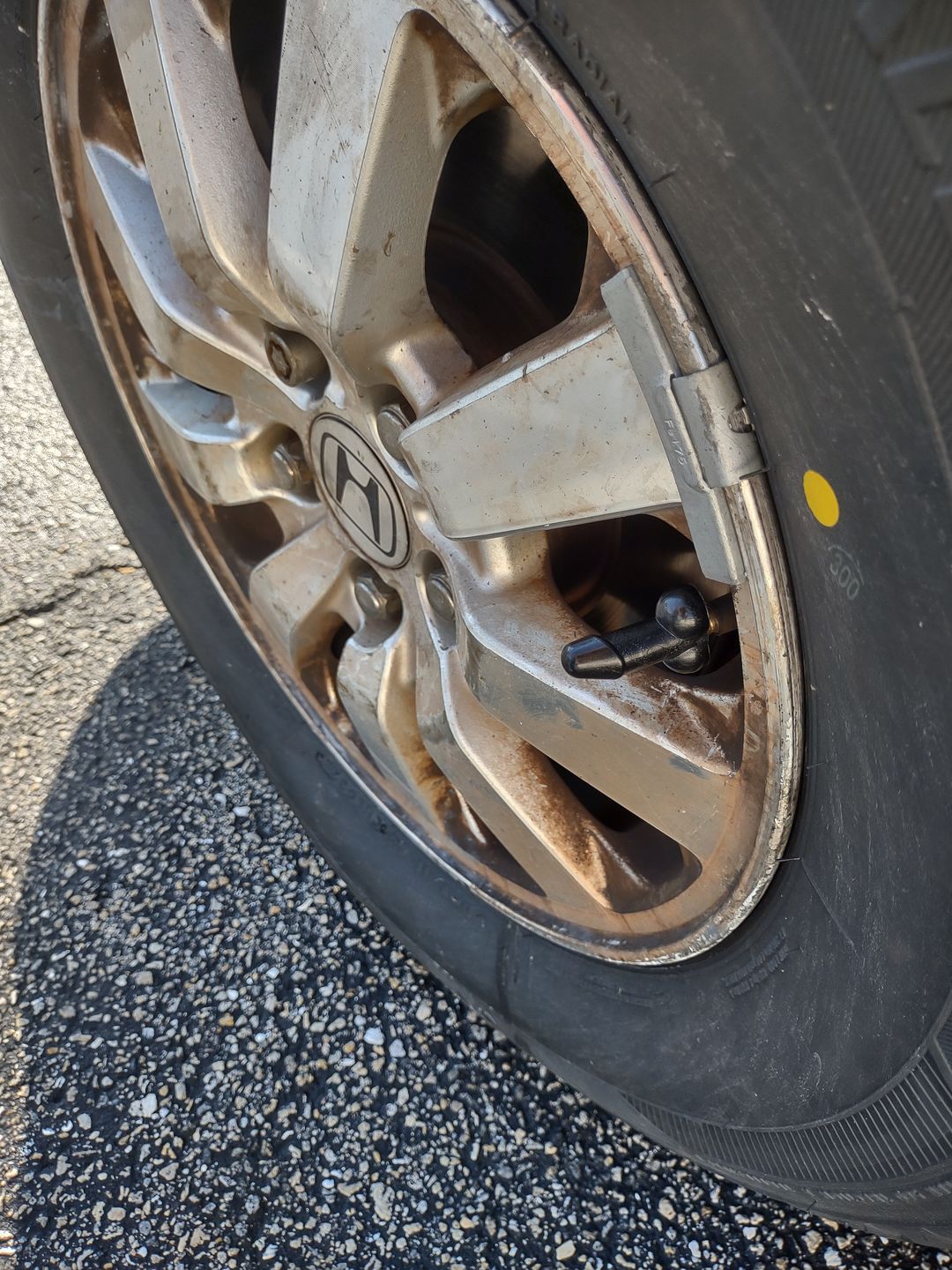 Customer photo review of Tirecockz Prank Dick Shaped Valve Stem Caps