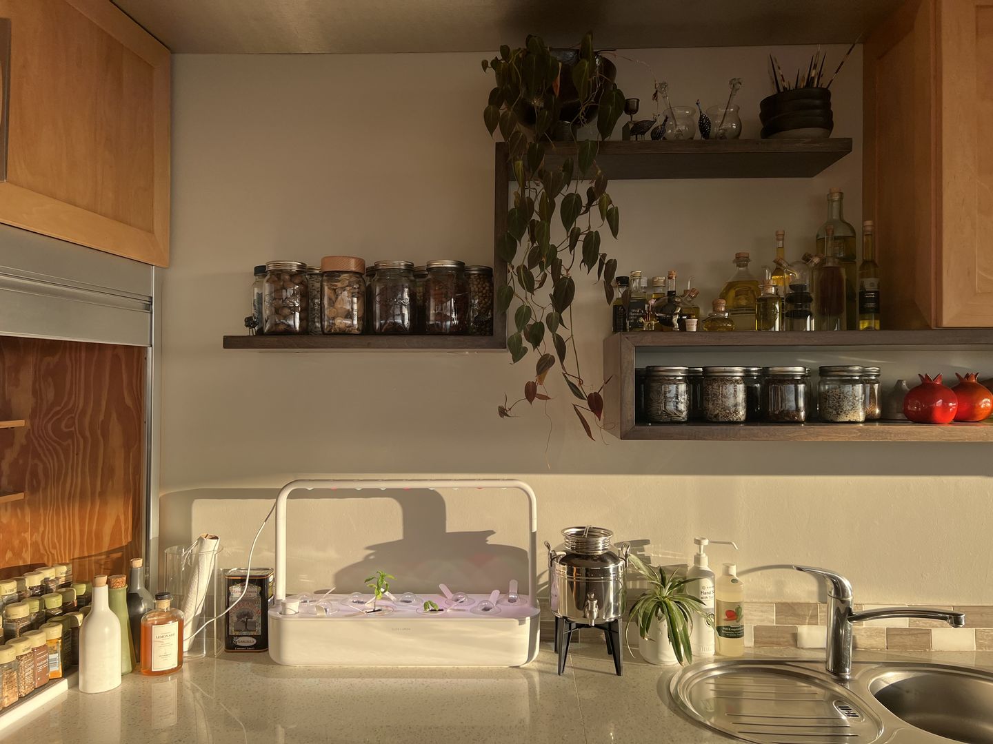 Customer photo review of Olive Oil Dispenser 3Lt Welded Drum