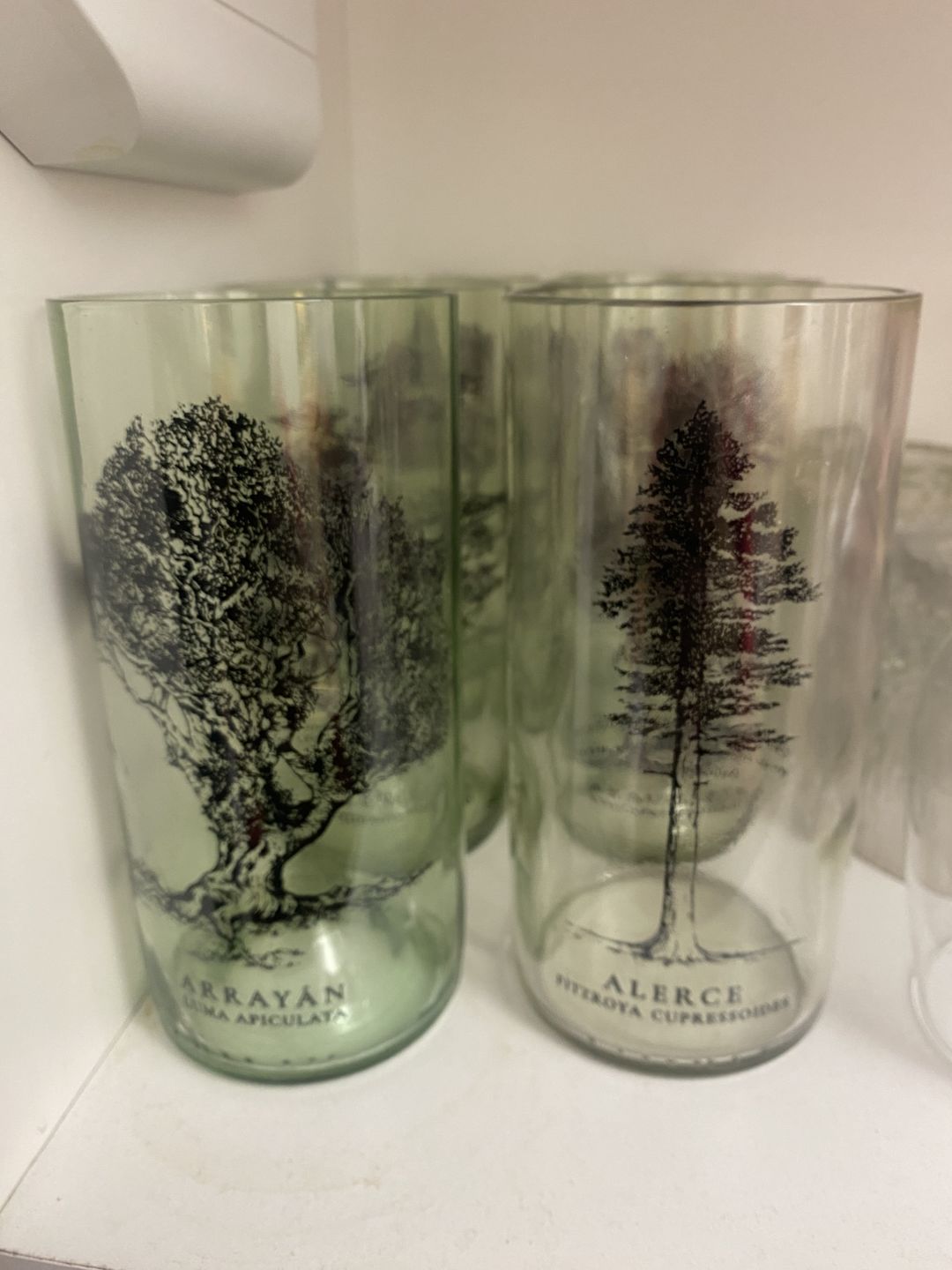 Customer photo review of Juego de 6 Vasos Árboles de Chile