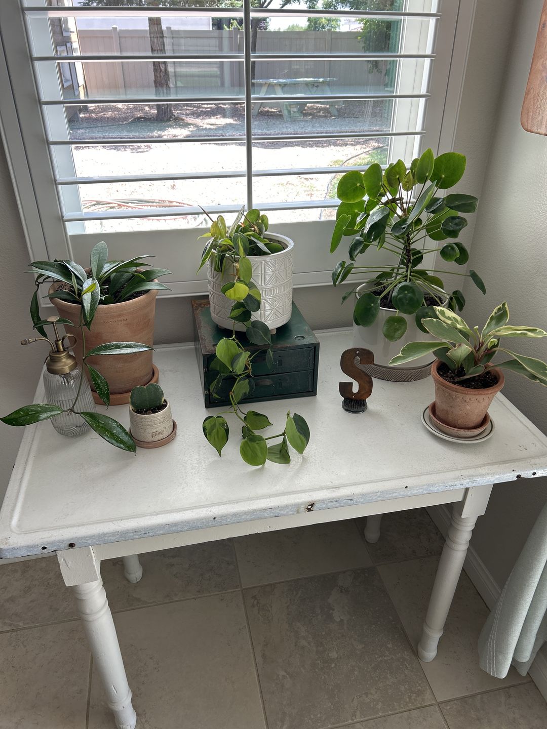 Customer photo review of Houseplant Top 40 Guide + Playlist