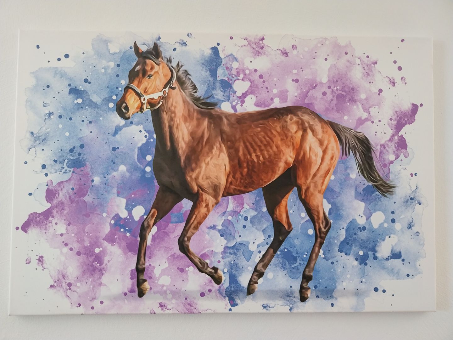 Customer photo review of Dein Pferd als Wasserfarben Portrait
