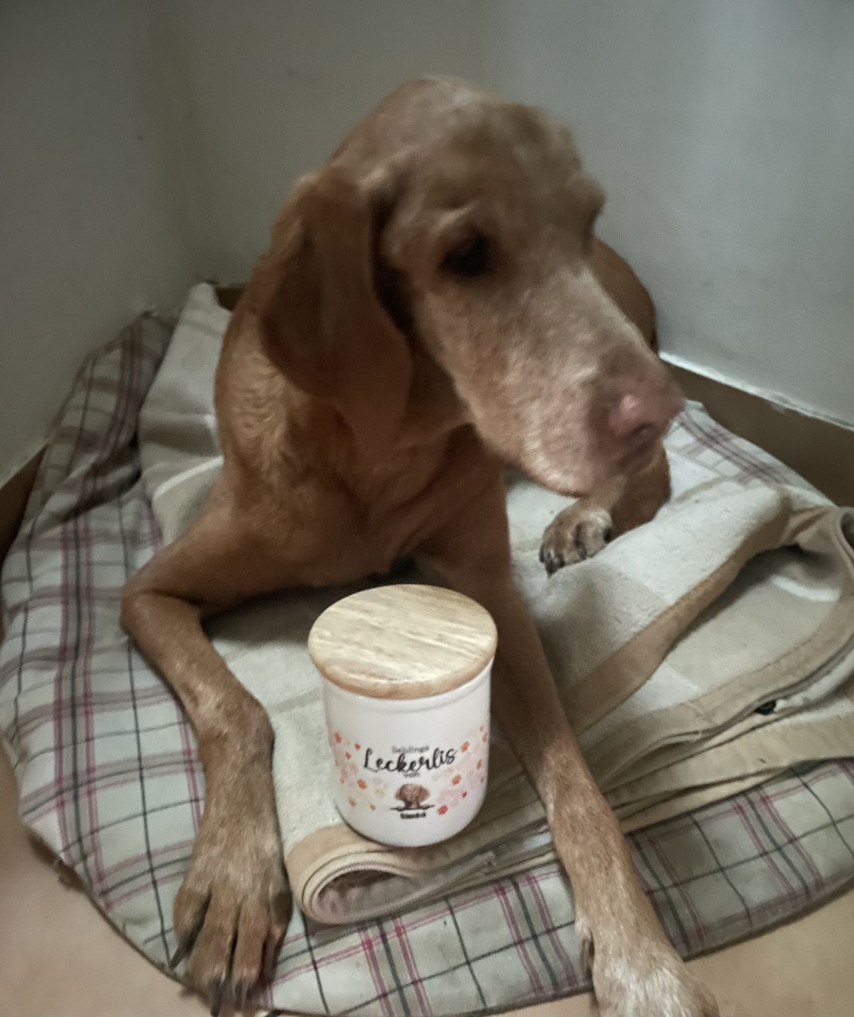Customer photo review of Lieblings Leckerli - Individuelle Leckerlidose