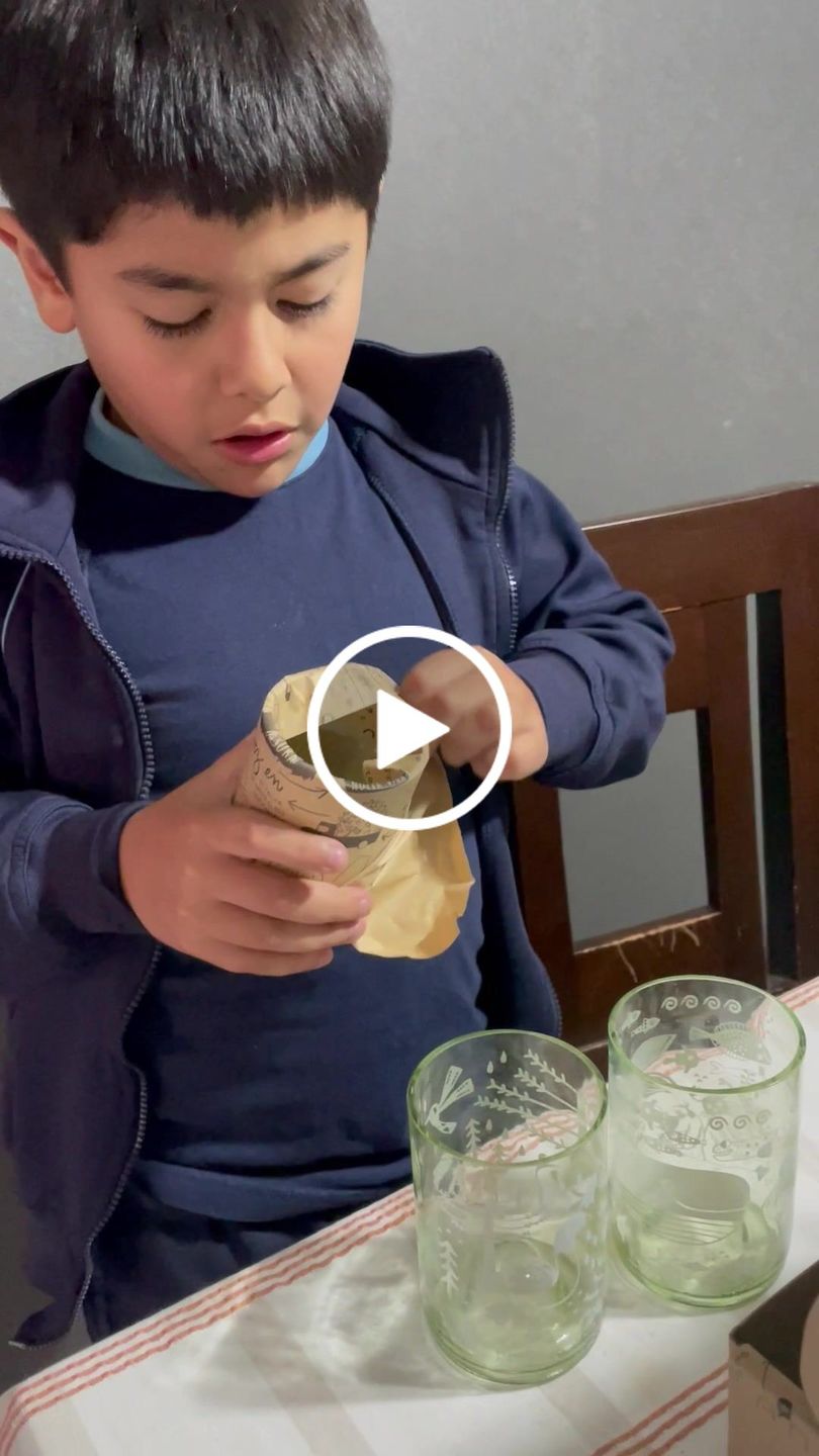 Customer video review of Flora & Fauna Juego de 4 Vasos