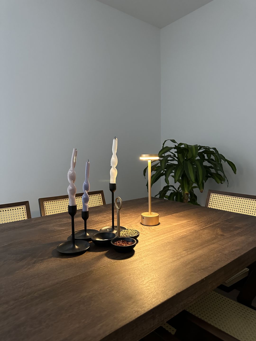 Customer photo review of Radiance™ Cordless Table Lamp