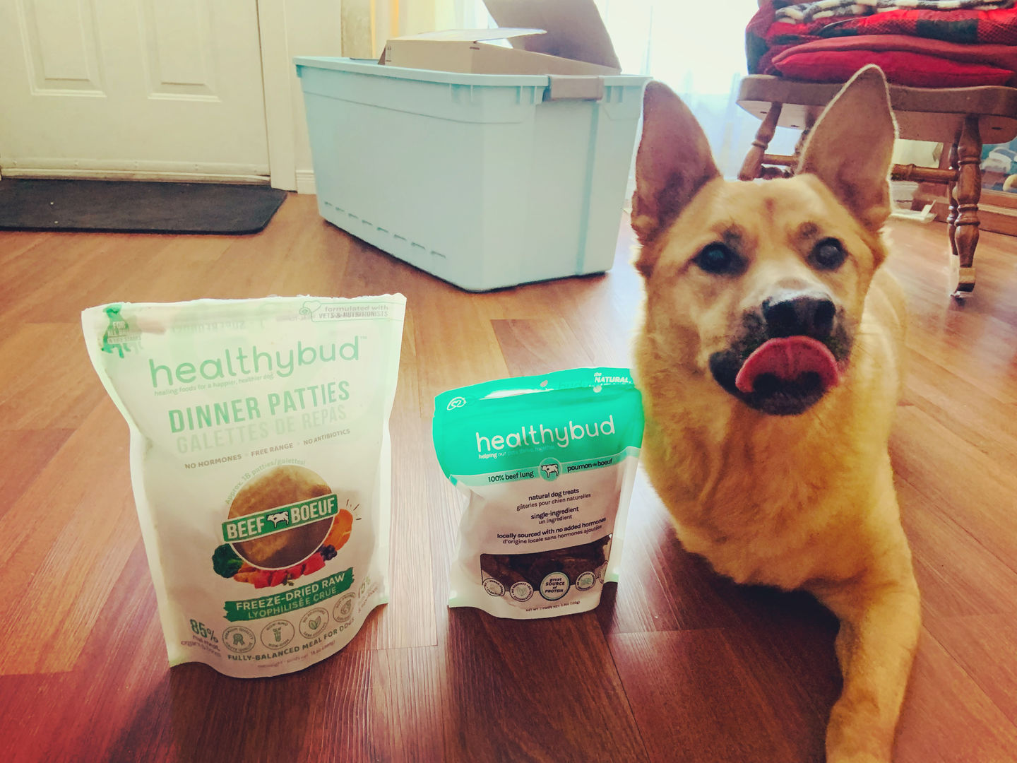 Customer photo review of Beef Meal Patties