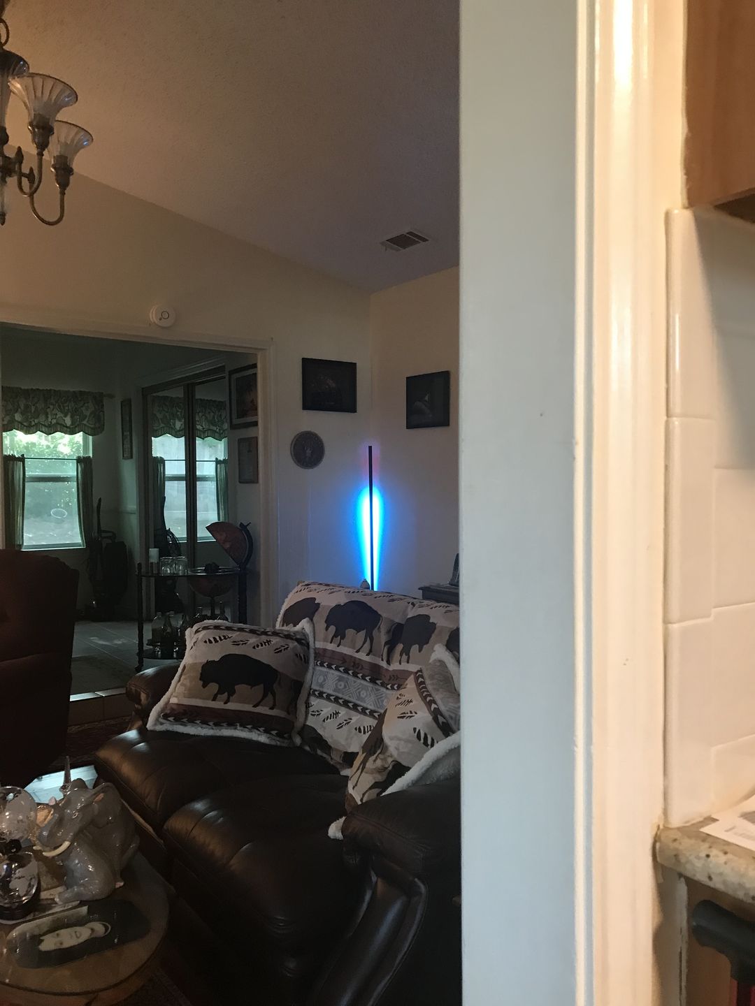 Customer photo review of LED Color Changing Light — LitLamp™