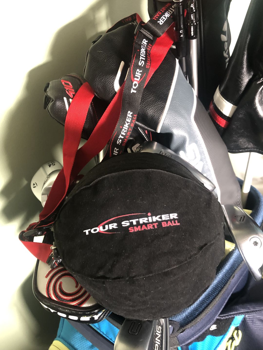 Customer photo review of Smart Ball