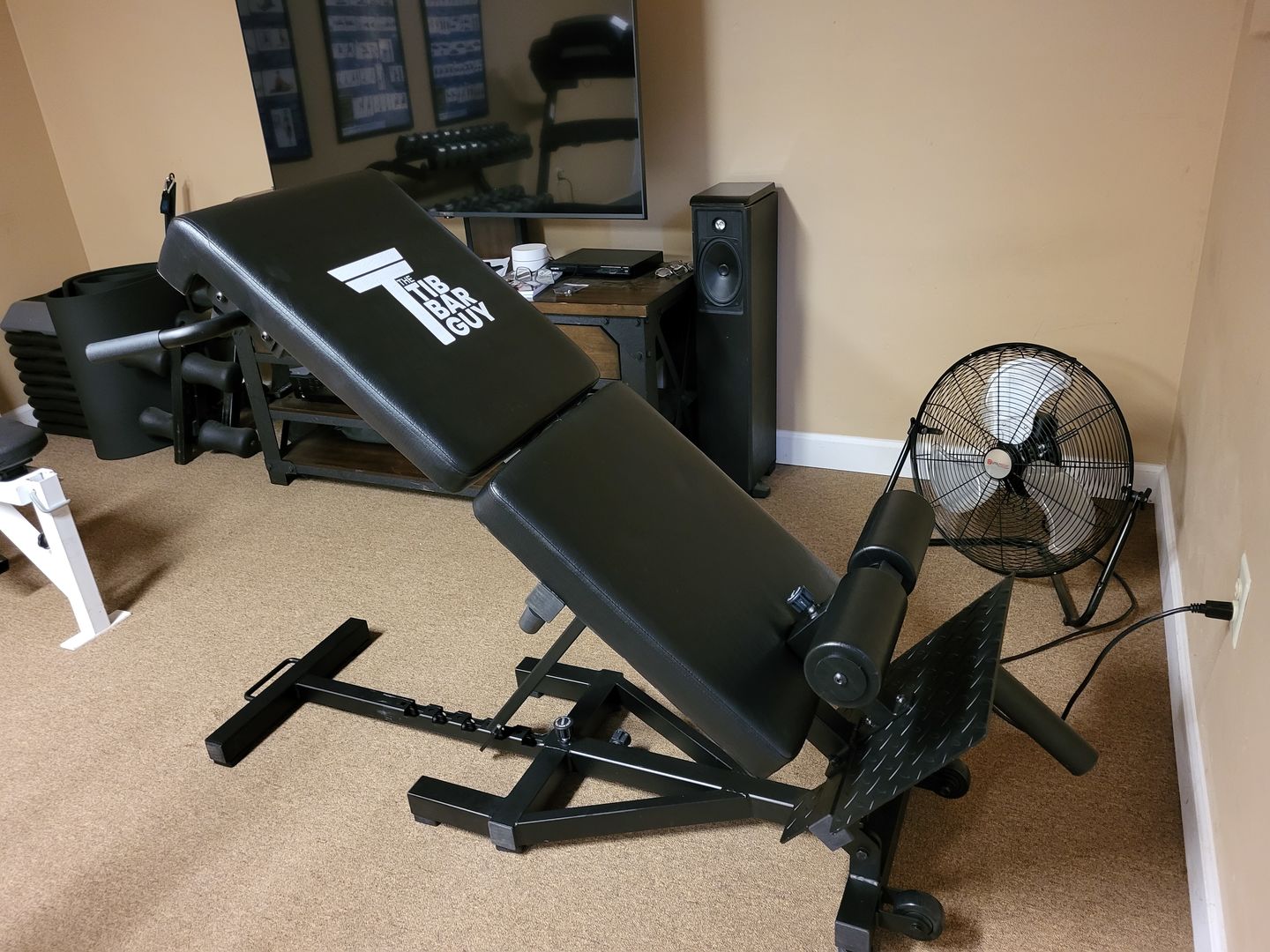 Customer photo review of The Nordic Back Extension Machine