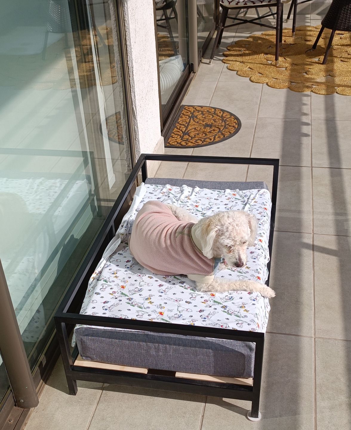 Customer photo review of Sofa Bellota Negro PETS