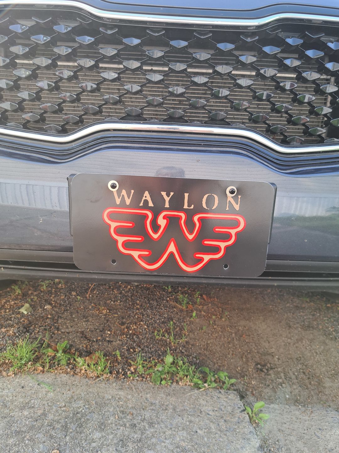 Customer photo review of Waylon Jennings Flying W License Plate