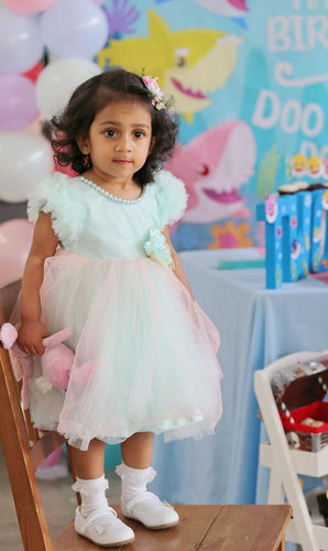 The Nesavu customer review from Sowmya