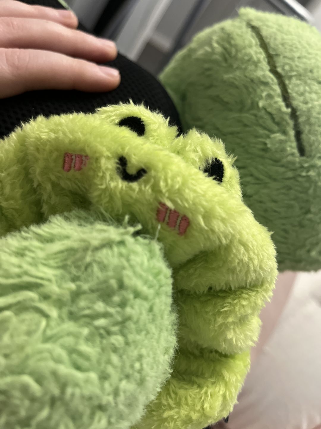 Customer photo review of Fluffy Albert The Frog Handmade Scrunchie