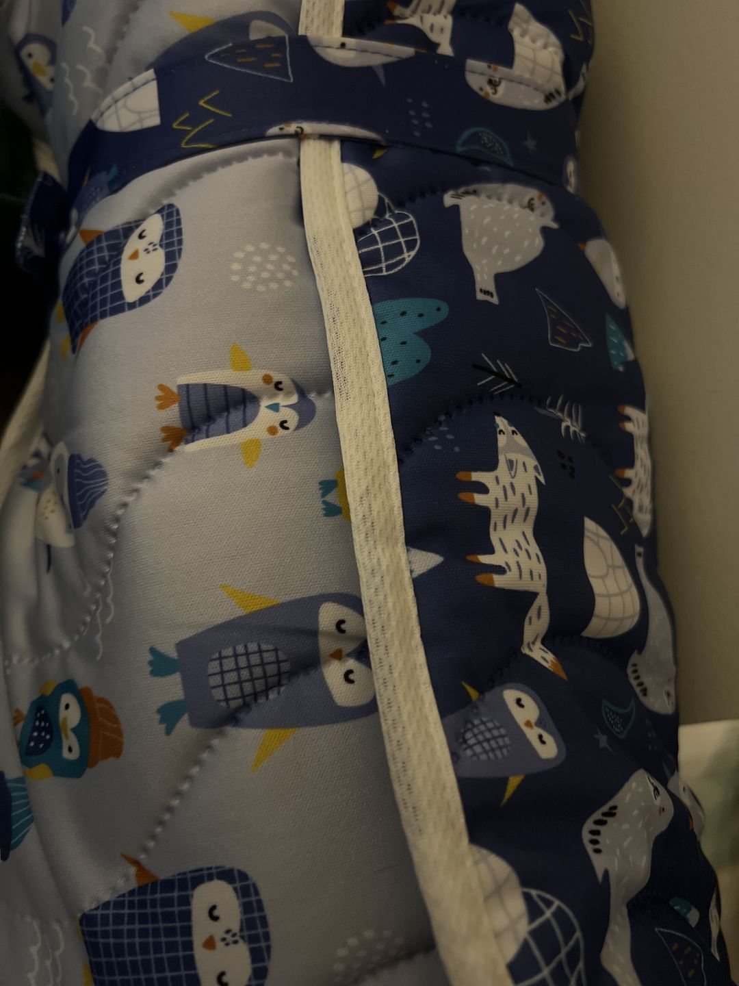 Customer photo review of Patterned Machine Washable Reversible Indoor/Outdoor Quilted Water Resistant Play Mat Blanket