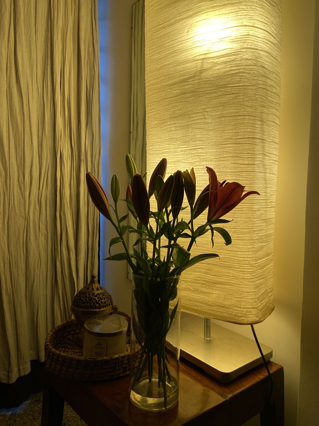 Customer photo review of Asiatic Lily