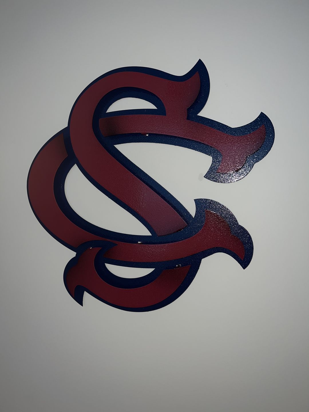 Customer photo review of South Carolina Baseball Logo 3D Vintage Metal Wall Art