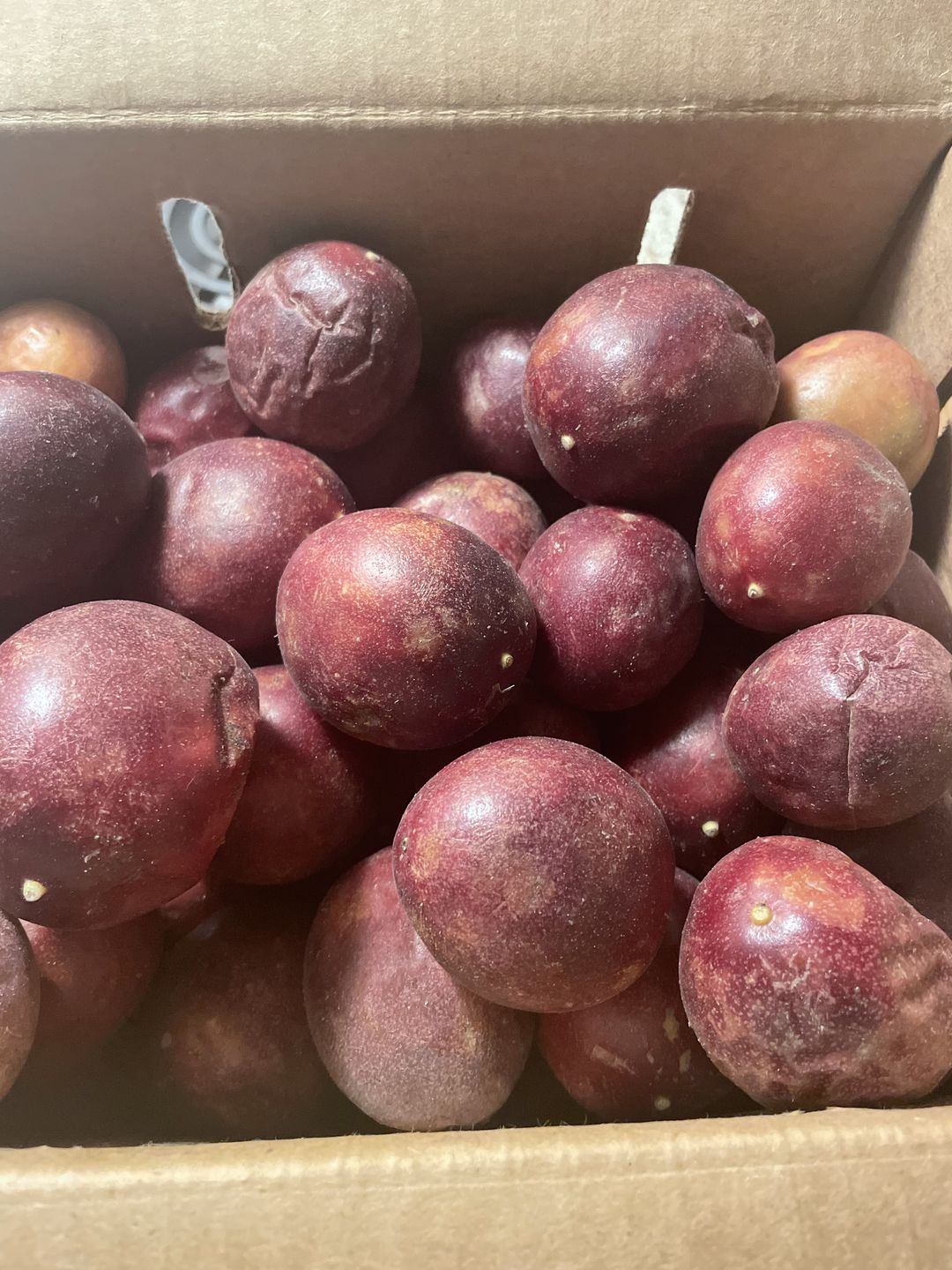 Customer photo review of Purple/Pink Passionfruit (Lilikoi) Box
