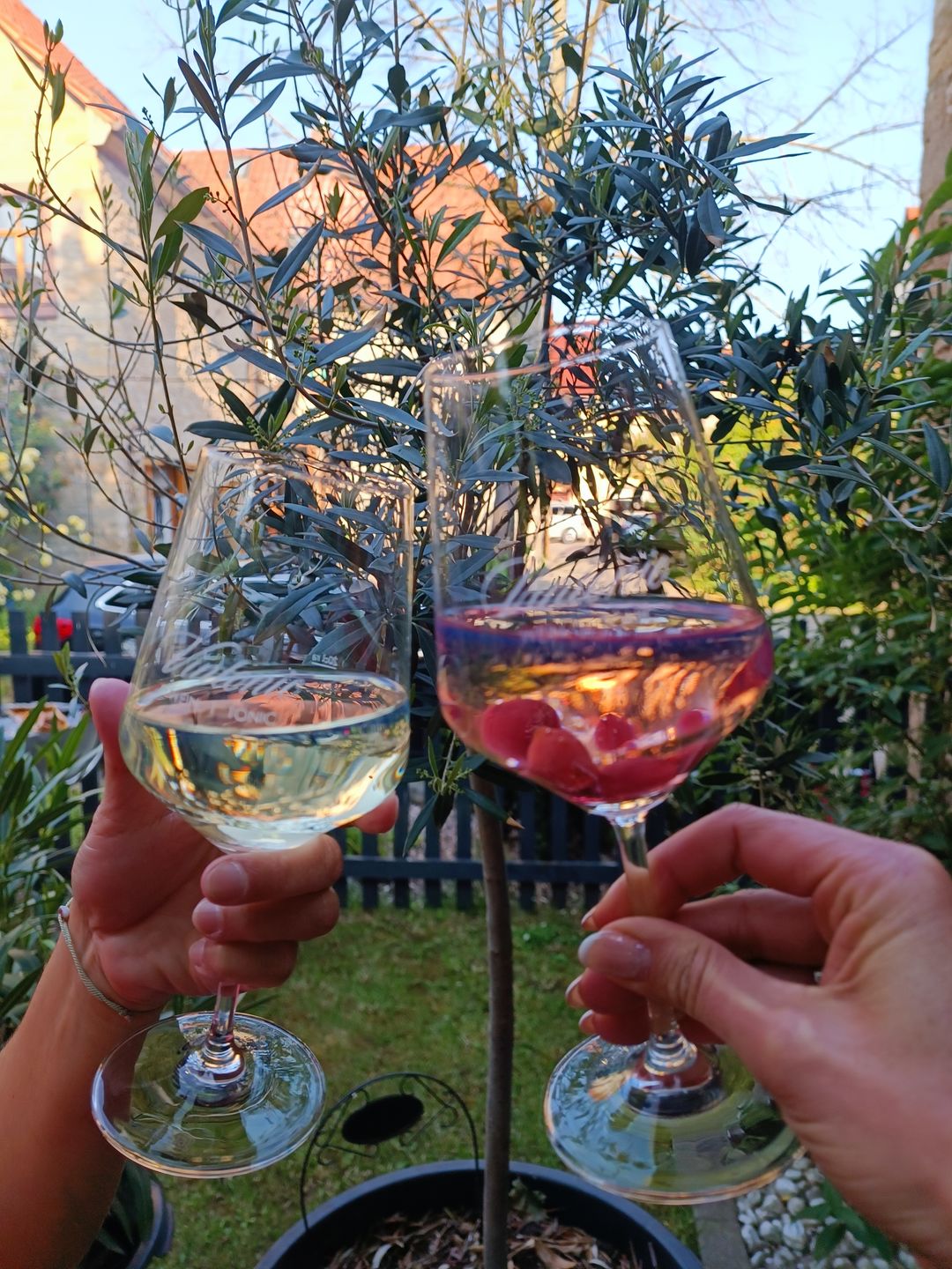 Customer photo review of VinTonic Classic 0,75 L