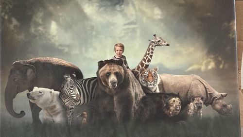 Customer photo review of Wildlife - Custom Portrait