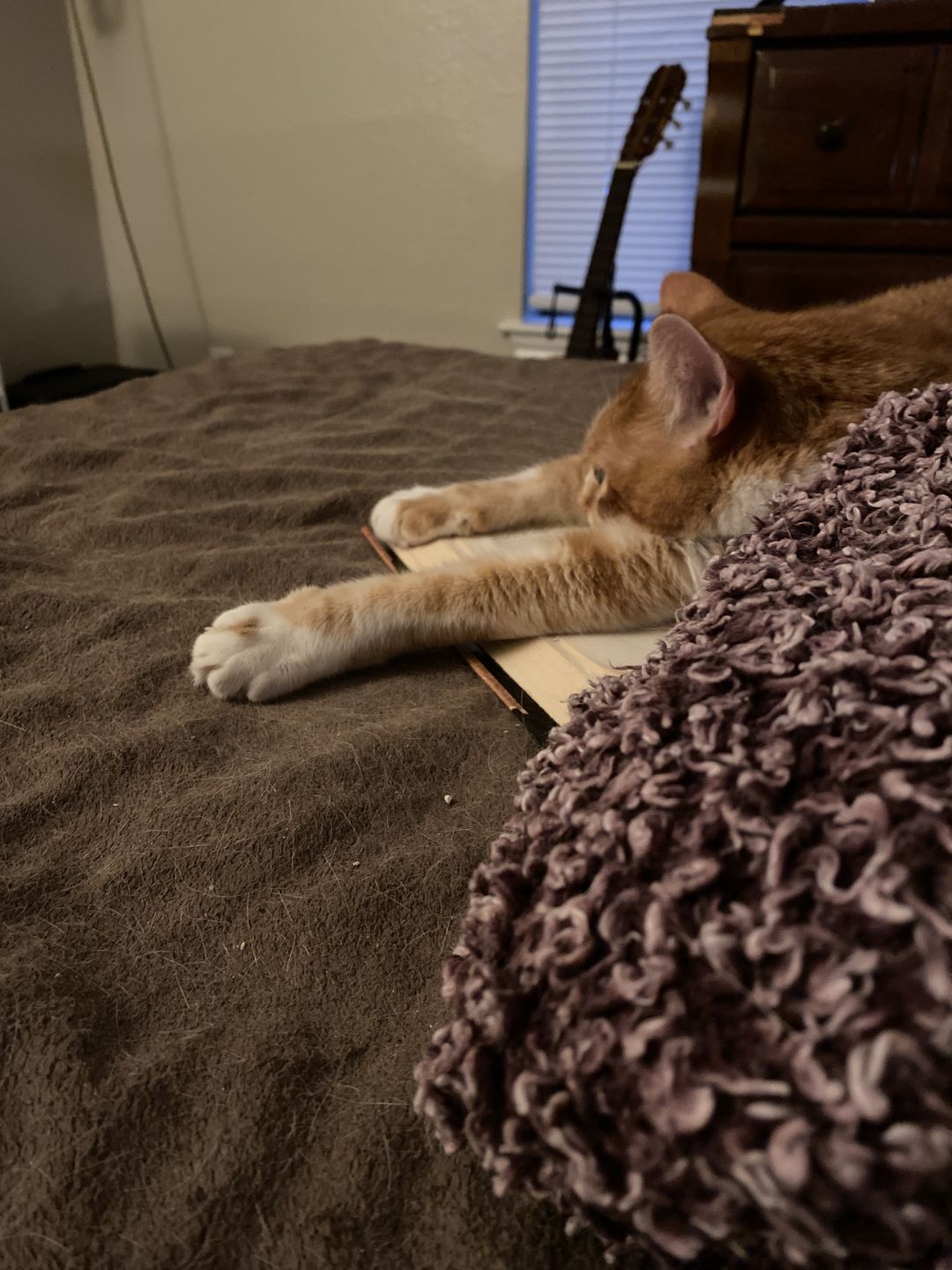 Customer photo review of Royal Canin Veterinary Diet - Urinary SO+ Satiety Dry Cat Food
